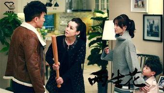 电视剧两生花在线观看全集,穿越时空的爱恋，全集剧情揭秘